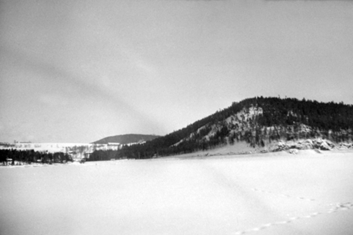 Anno Domkirkeodden, LANDSKAP, FURUBERGET i Hamar kommune, tatt FRA MJØSA.
