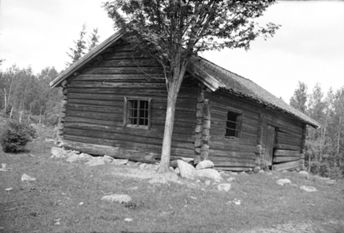 Anno Domkirkeodden, HUS, DOGLOSMIA, NÅ HH, EKSTR. FØR FLYTTING TIL HEDMARKSMUSEET, HDH. 21