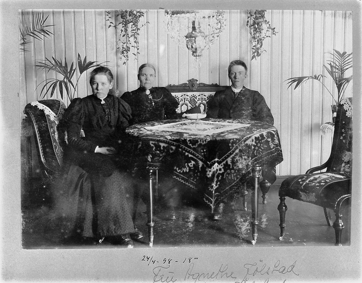 Johan Albert Steen, GR. 3 SITTENE I STUE. INTR. AGNETHE OG HAAKON JØLSTAD.