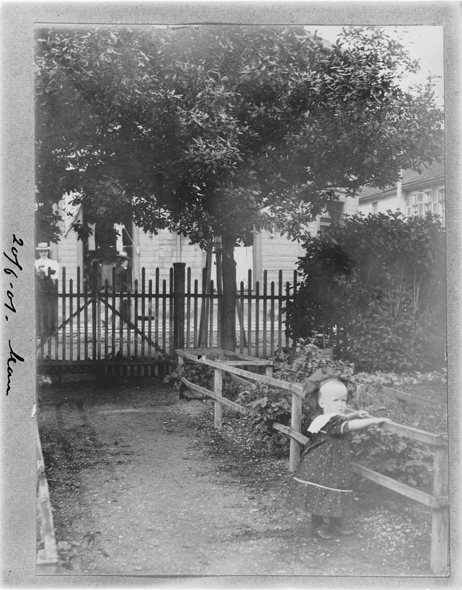 Johan Albert Steen, STRANDGATEHAGEN, UKJENTE JENTE, REKKVERK, STAKITT, 20-6-1901.