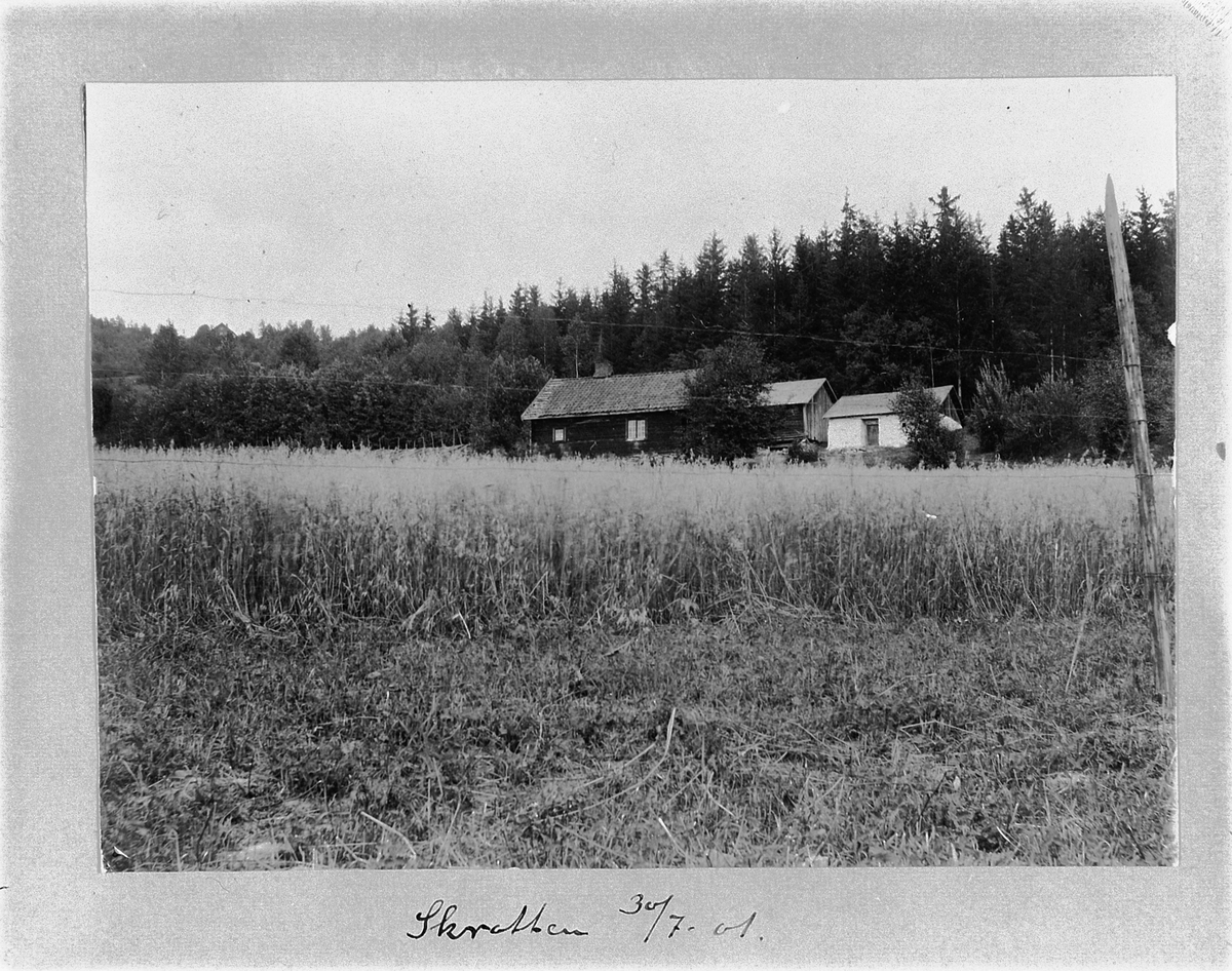Johan Albert Steen, "SKROTTEN", HUSMANNSPLASS, UKJENT STED, 30-7-1901.