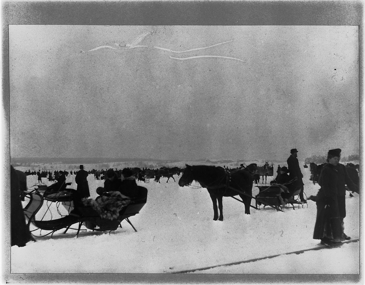 Johan Albert Steen, TRAVLØP PÅ MJØSISEN, HESTER, KUSKER, SLEDE, 2-3-1902. HAMAR OG OMEGN TRAVSELSKAP ARRANGERTE HVERT ÅR TRAVLØP PÅ MJØSA FØRSTE SØNDAG I MARS.