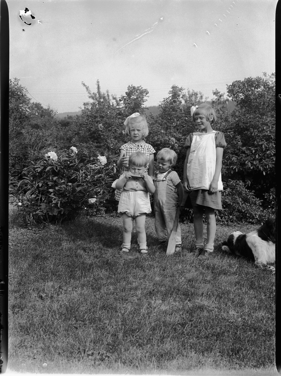Mikkel Sveinhaug, VALBORG ØSTVOLD OG TRE UKJENTE BARN. 1938.