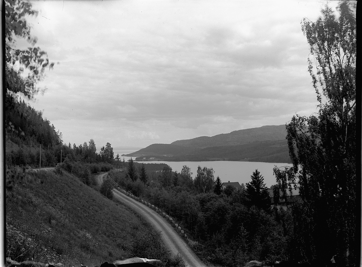 Ole Hansen Løken, VELDRE i Ringsaker, UTSIKT MOT MJØSA, FANGBERGET.
