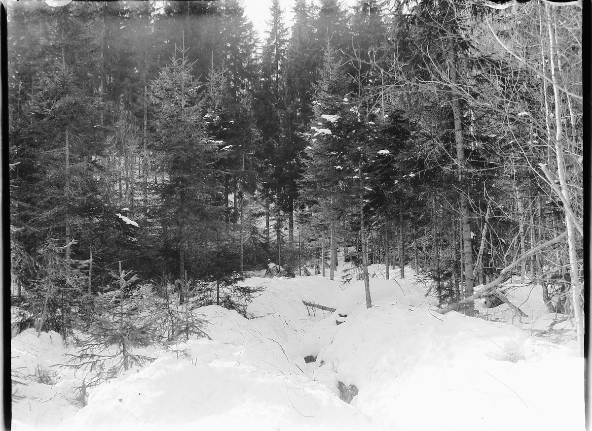Ole Hansen Løken, SKOG, VINTER, UKJENT STED.