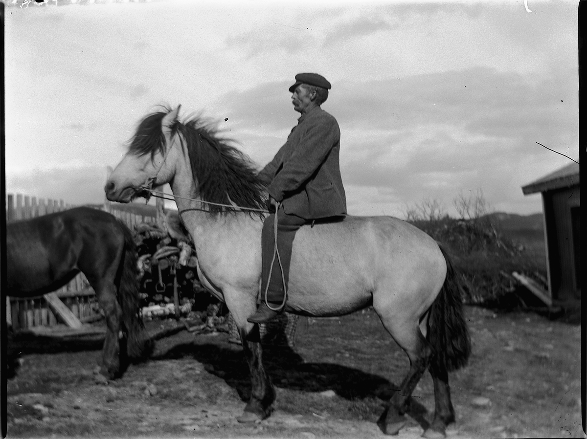 Ole Hansen Løken, JOHAN HARSTAD, GARDSBESTYRER PÅ TOKSTAD i Ringsaker, PÅ HESTERYGGEN.