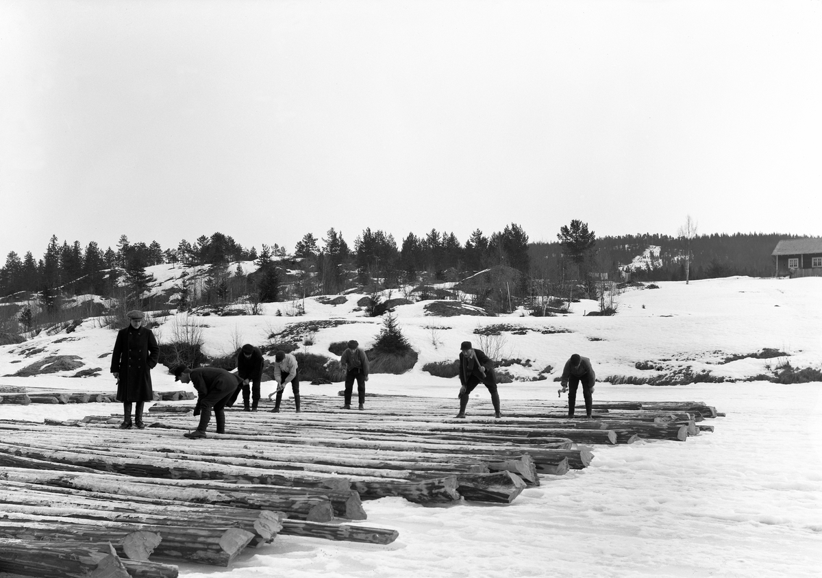 Ole Hansen Løken, SKOGBRUK, TØMMERMÅLING, 7 UKJENTE TØMMERMÅLERE.