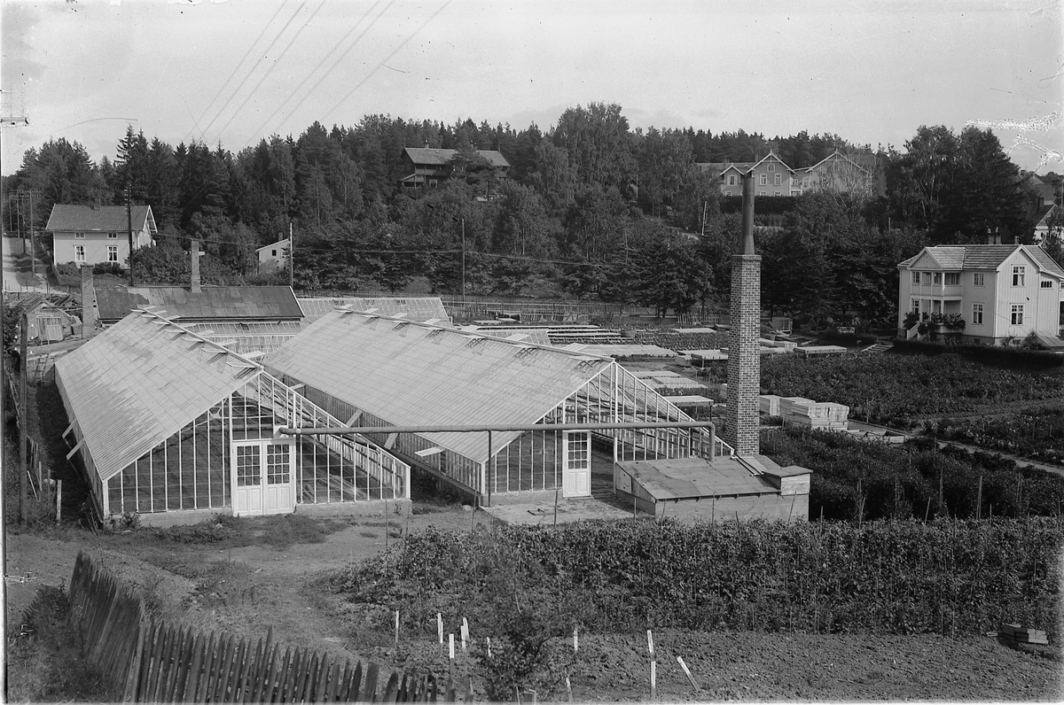 Oscar Løberg, HUGO HOFFSTENS GARTNERI i Hamar, TH. BOLIG, VIDERE FH. DOMPROSTBOLIGEN, "SANGEN", OG VILLA TILH. TROSTHOEL.