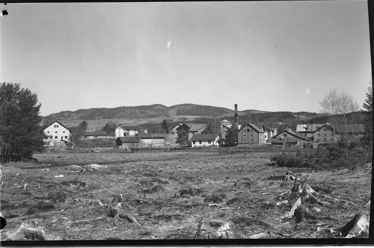 Håkon Prestkværn, STRAND BRÆNDERI, BRENNERI, MOELV.