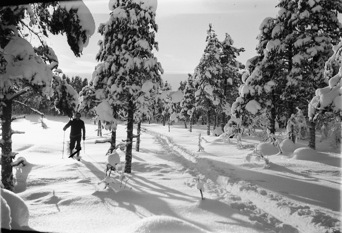 Håkon Prestkværn, Vinterlandskap: Ukjent mann på skitur i skogen.