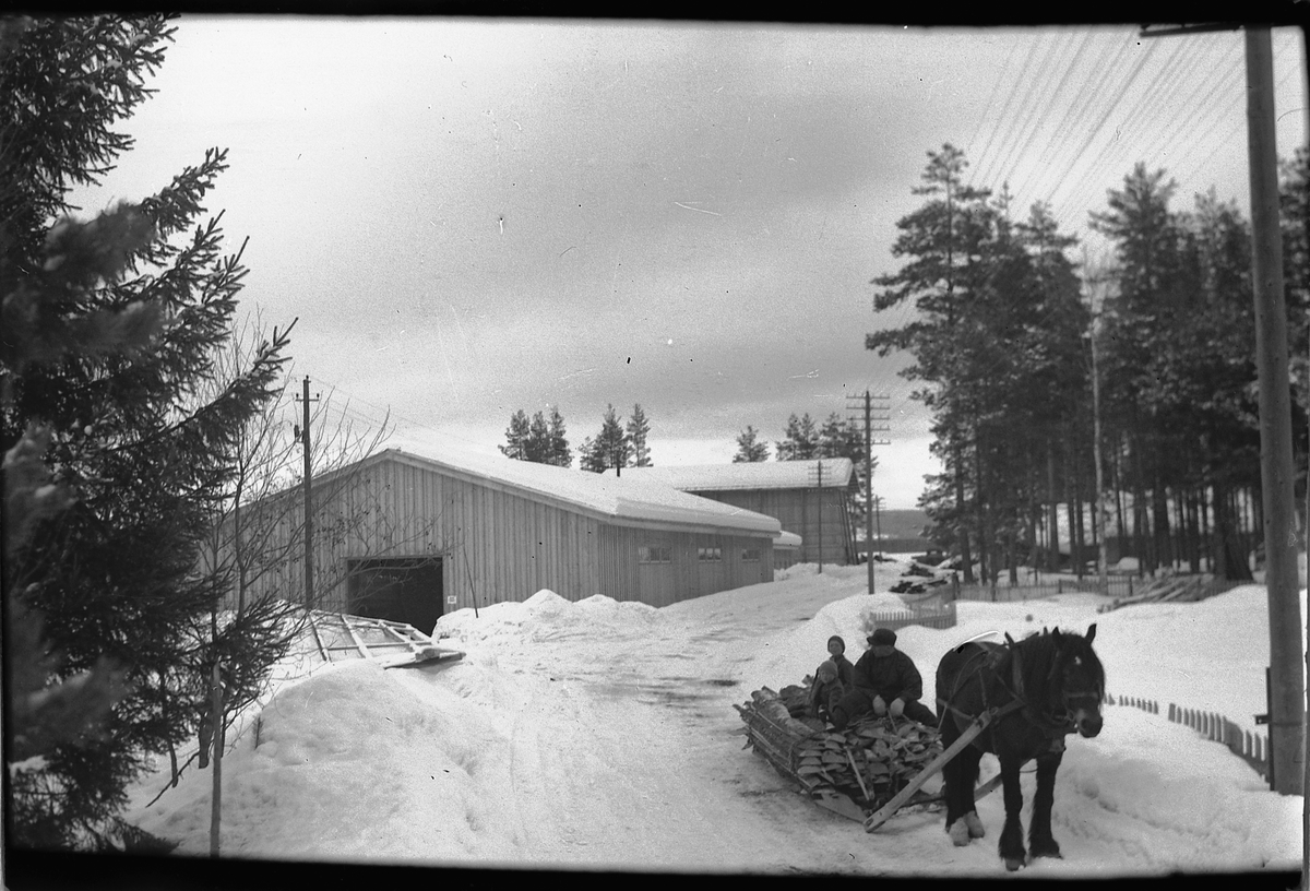 Håkon Prestkværn, Hest kjører tømmer med tre personer på sleden.
