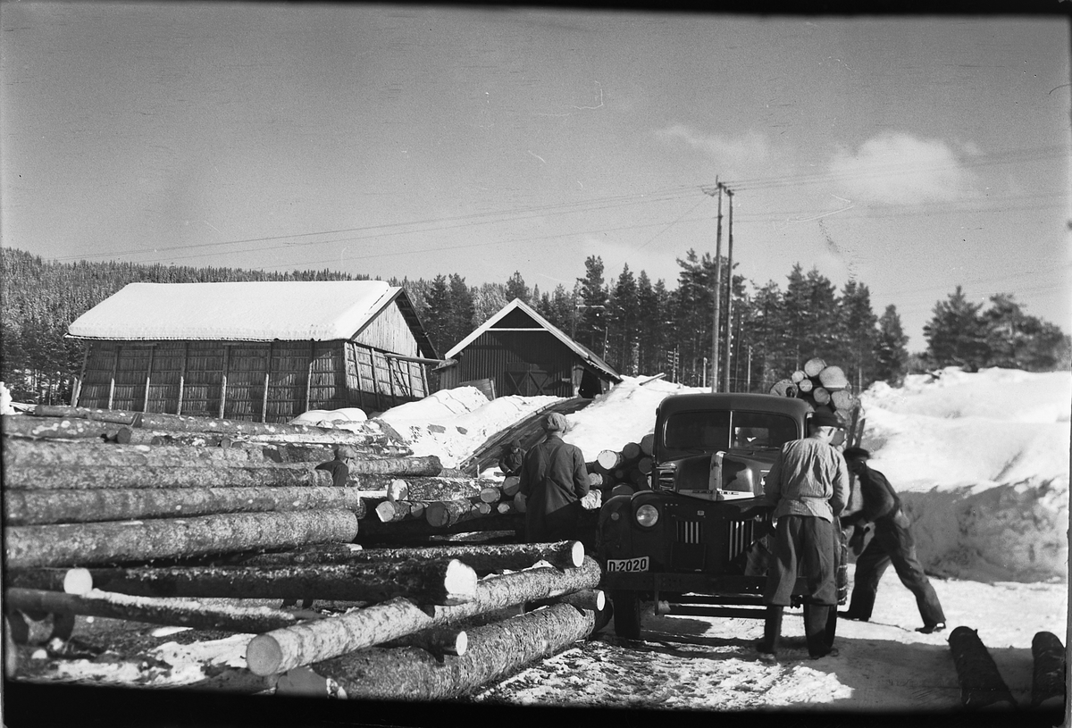 Håkon Prestkværn, FORD 46-47 LAST TØMMERTRANSPORT, FRONTALT.