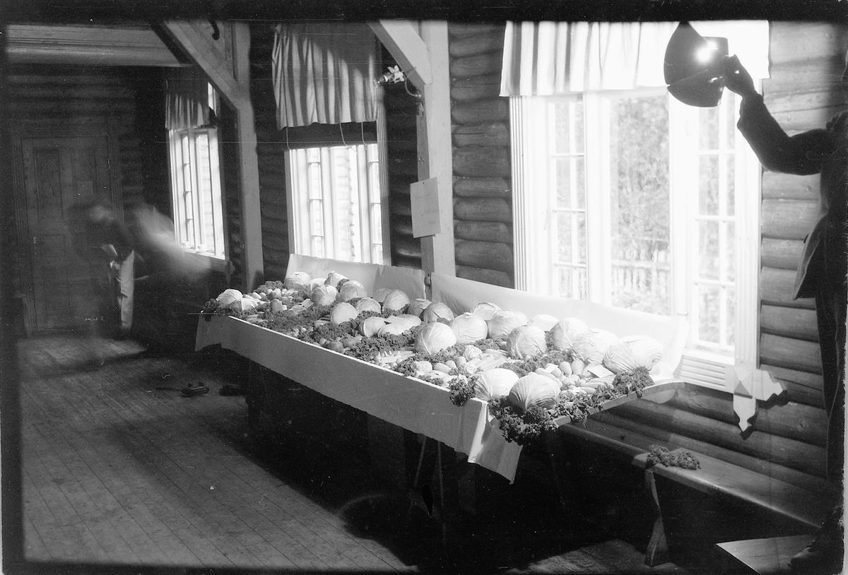 Håkon Prestkværn, Hodekål og gulrøtter på en benk. 4H-utstilling. Høstfest for klubbene i Ringsaker på Nærvang i Næroset 1948 eller 1949. De første klubbene ble startet i 1948 og oppgavene var hovedsakelig dyrking av grønnsaker, husstell og håndarbeid. På landsbasis var klubbene organisert gjennom "Landslaget for no…