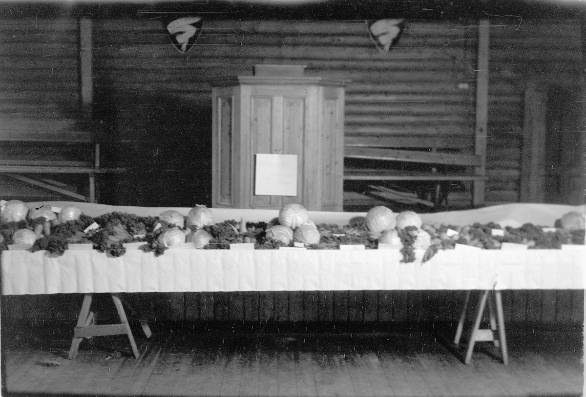 Håkon Prestkværn, Hodekål og gulrøtter på en benk. 4H-utstilling. Høstfest for klubbene i Ringsaker på Nærvang i Næroset 1948 eller 1949. De første klubbene ble startet i 1948 og oppgavene var hovedsakelig dyrking av grønnsaker, husstell og håndarbeid. På landsbasis var klubbene organisert gjennom "Landslaget for no…