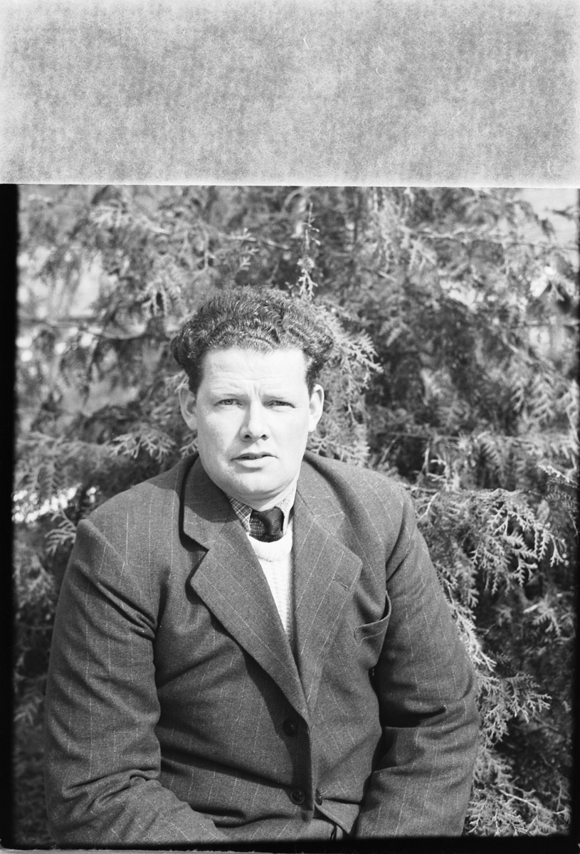 Håkon Prestkværn, Ukjent mann ved et tre.