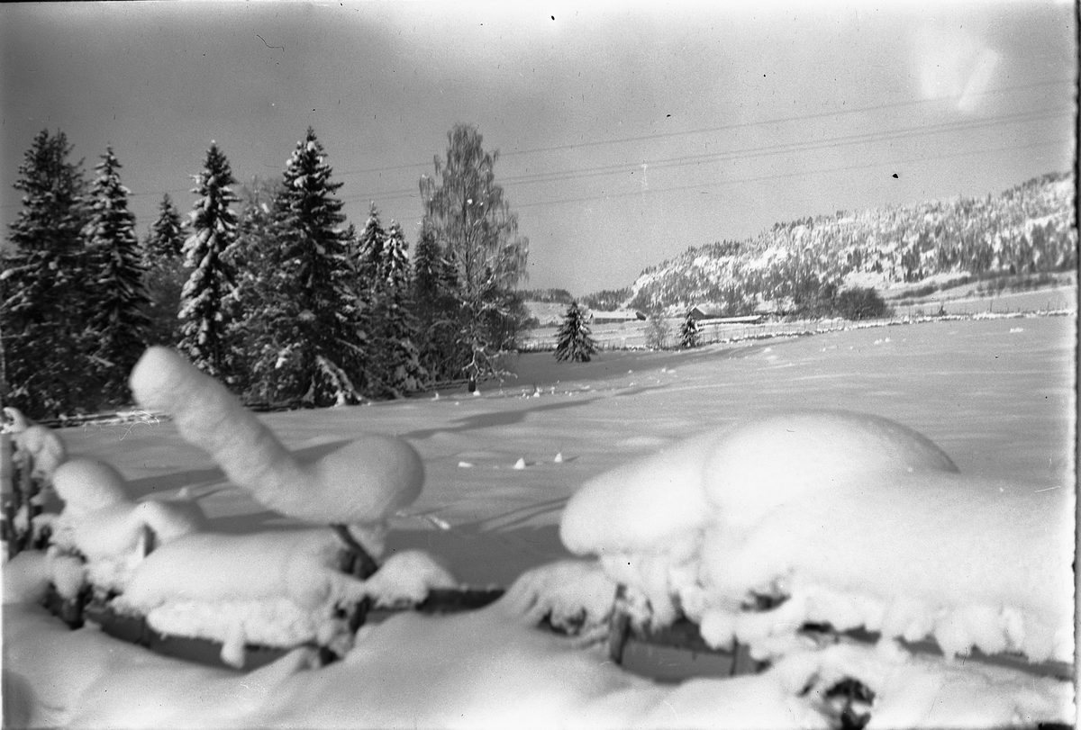 Håkon Prestkværn, Vinterlandskap.