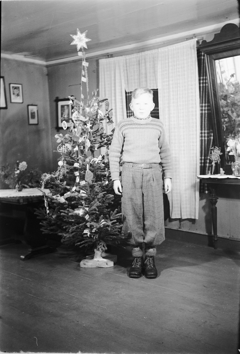 Håkon Prestkværn, Interiør, stue med juletre. Ukjent gutt.