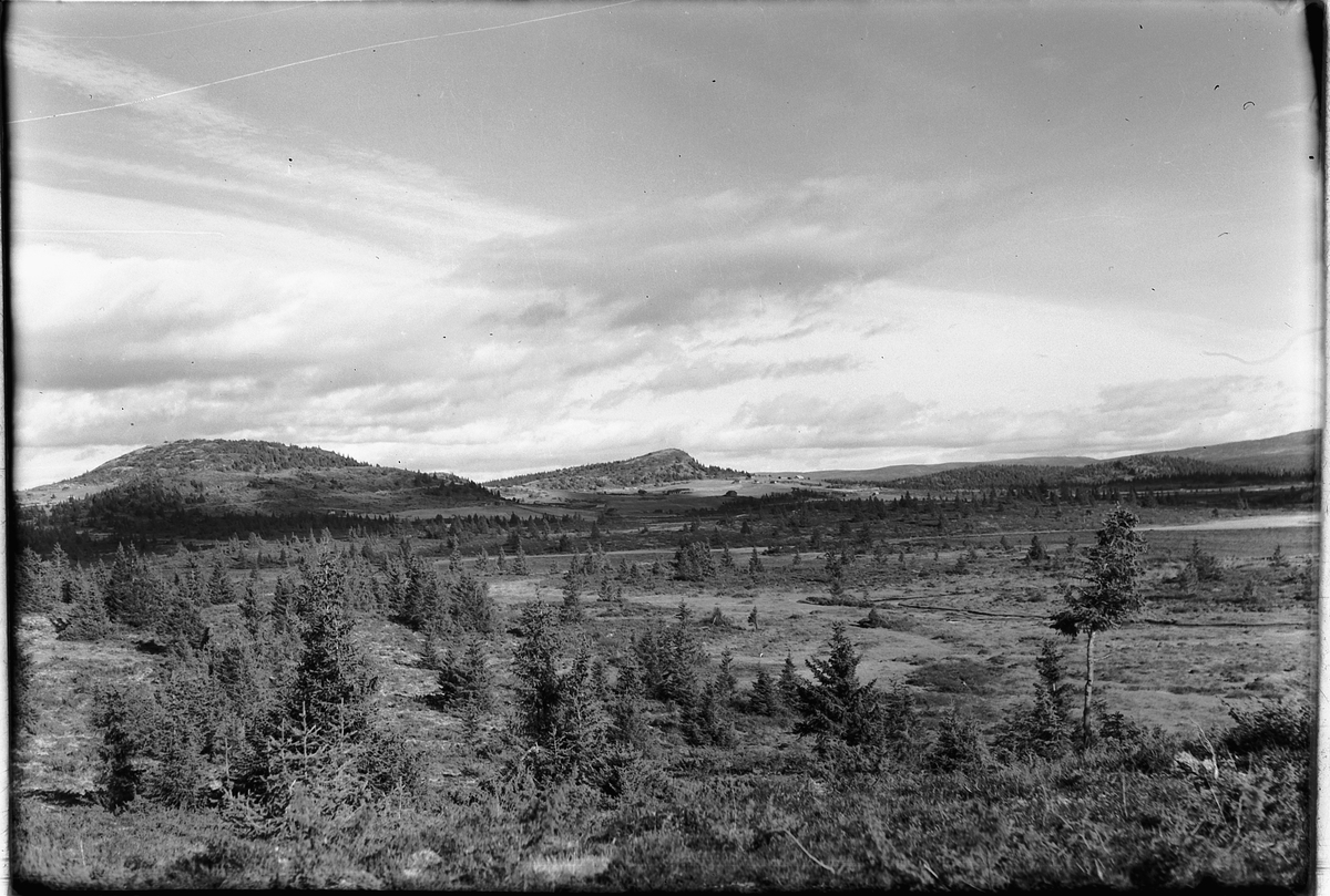 Håkon Prestkværn, Fjellandskap.