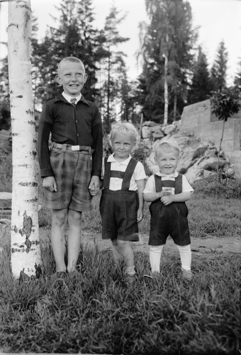 Håkon Prestkværn, Tre barn ved et bjørketre.