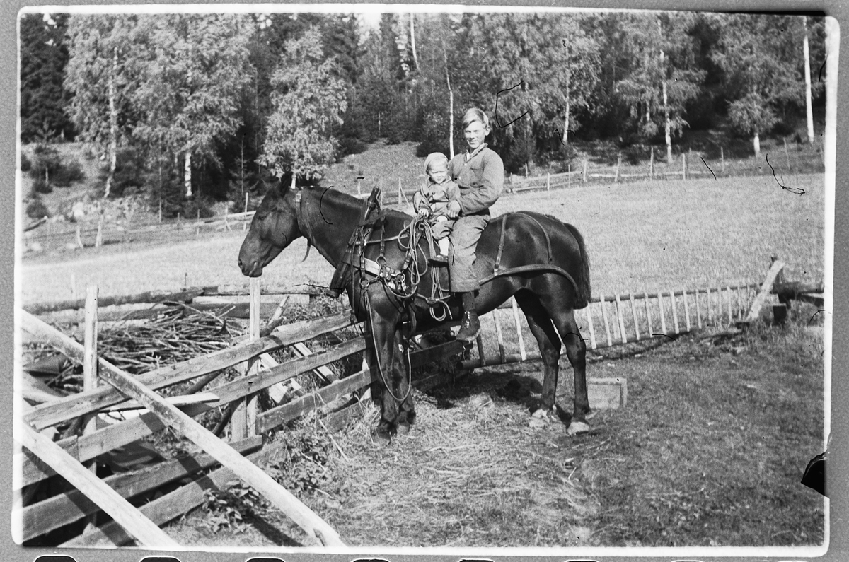 Håkon Prestkværn, To barn på en hest.
