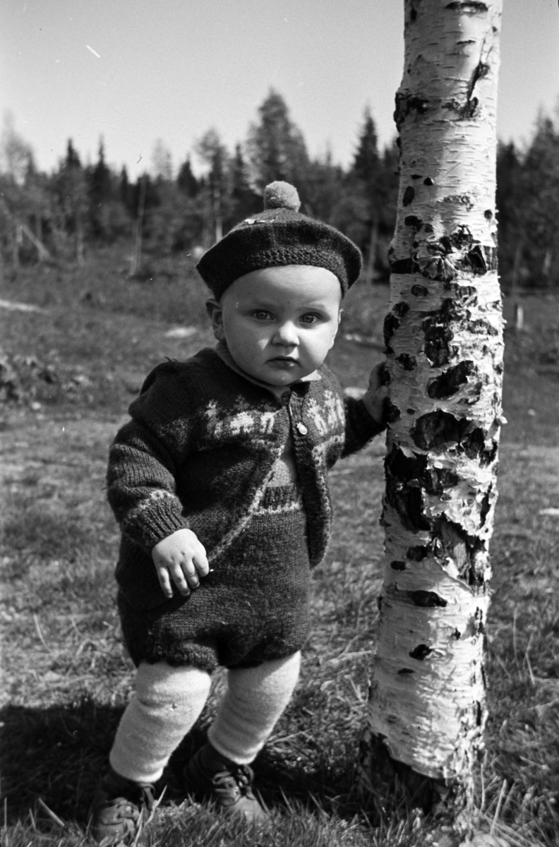 Håkon Prestkværn, Liten gutt støtter seg ved hjelp av et bjørketre.
