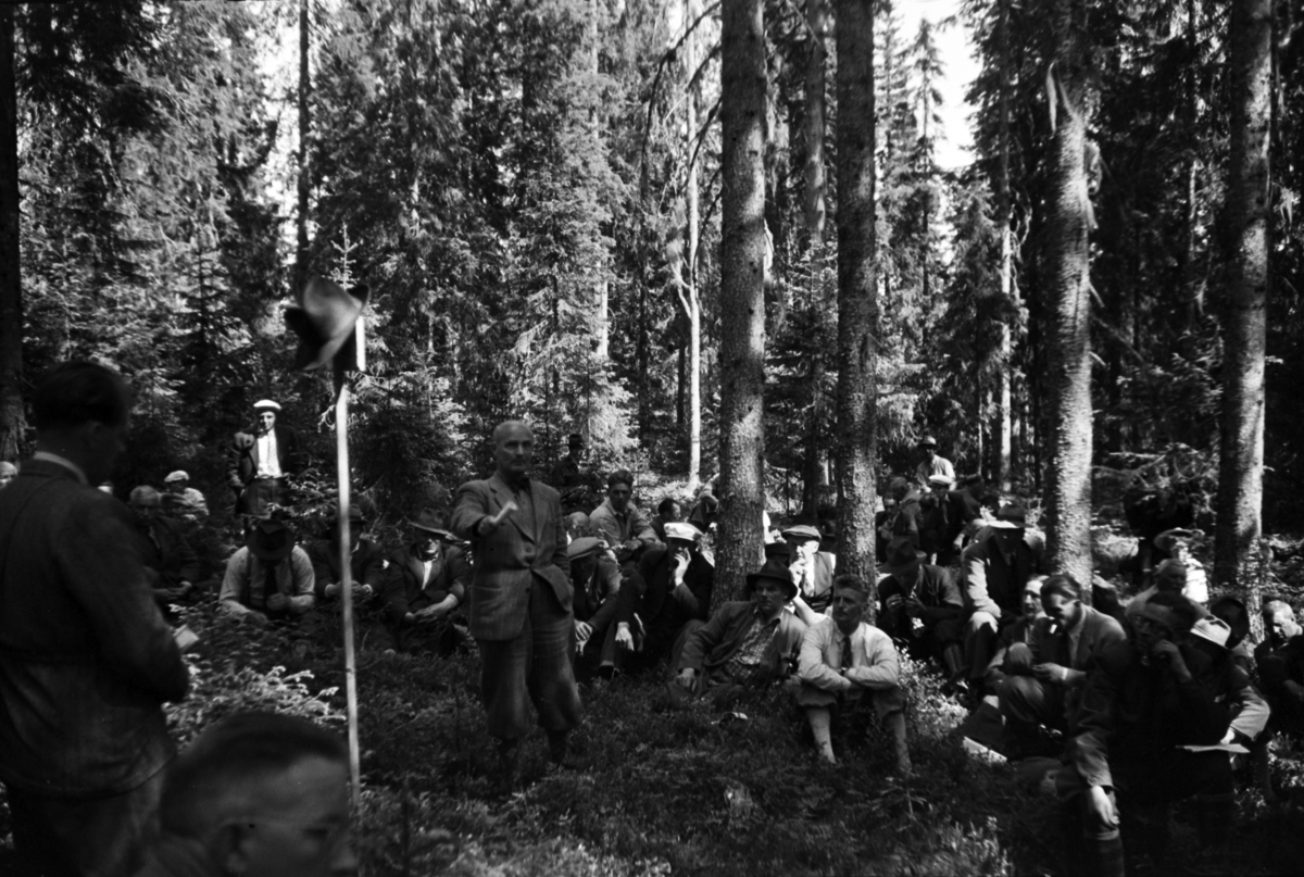 Håkon Prestkværn, Buvika sagbruk, skogbefaring, Ringsaker allmenning. Juni 1949.