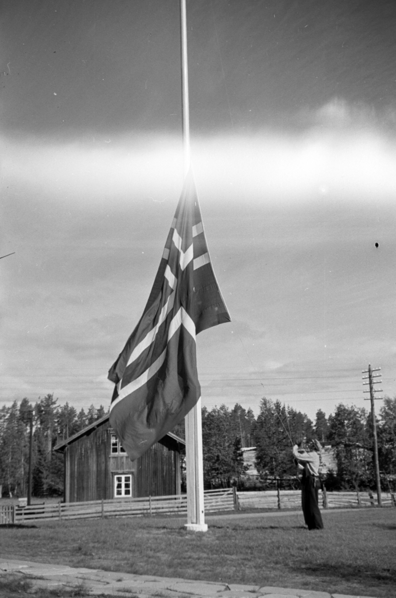 Håkon Prestkværn, Buvika sagbruk, skogbefaring, Ringsaker allmenning. Juni 1949. Heising av flagg.