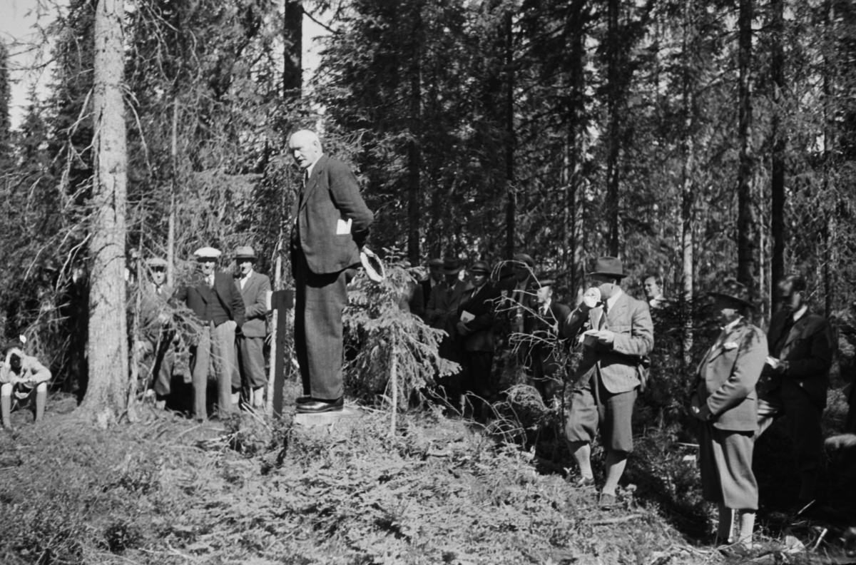 Håkon Prestkværn, Buvika sagbruk, skogbefaring, Ringsaker allmenning. Juni 1949.