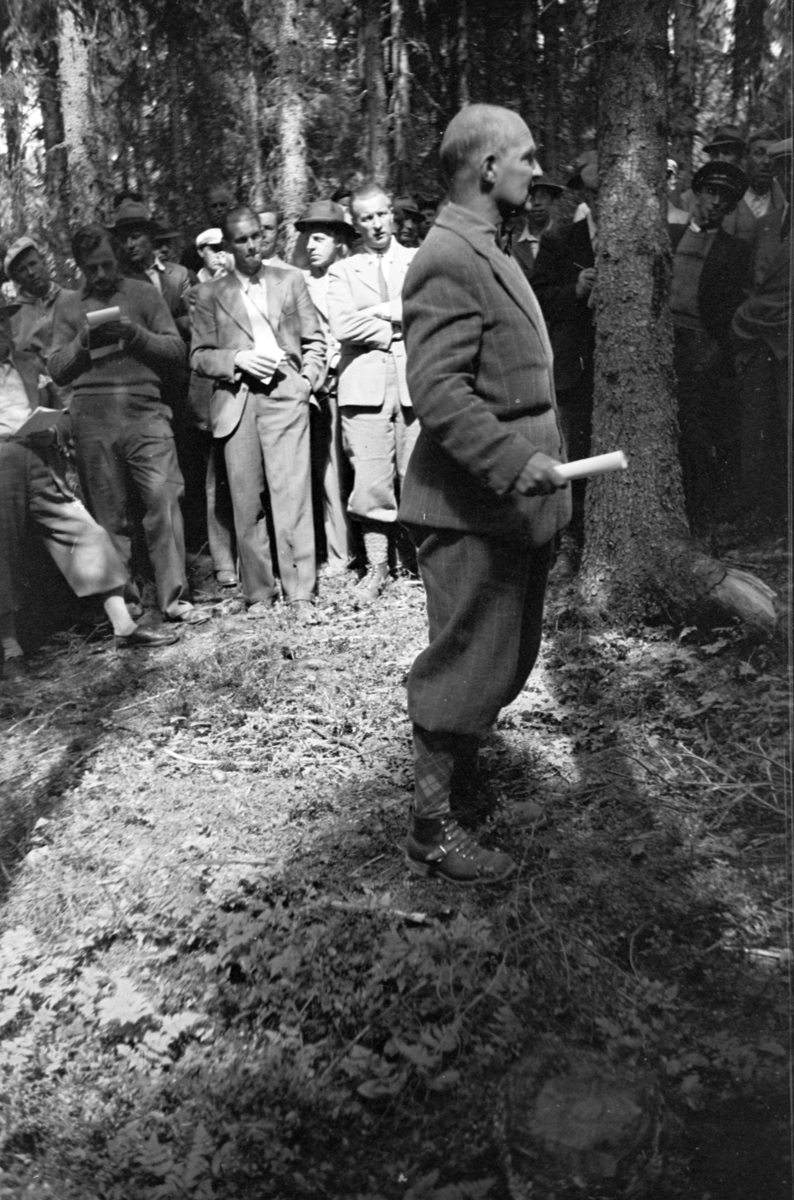 Håkon Prestkværn, Buvika sagbruk, skogbefaring, Ringsaker allmenning. Juni 1949.