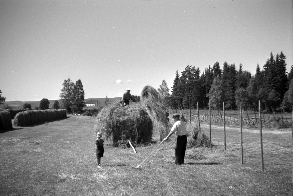 Håkon Prestkværn, Slåttonna. Innhøsting av høy fra hesjer. To menn lemper høy på ei kjerre, mens en tråkker det ned.