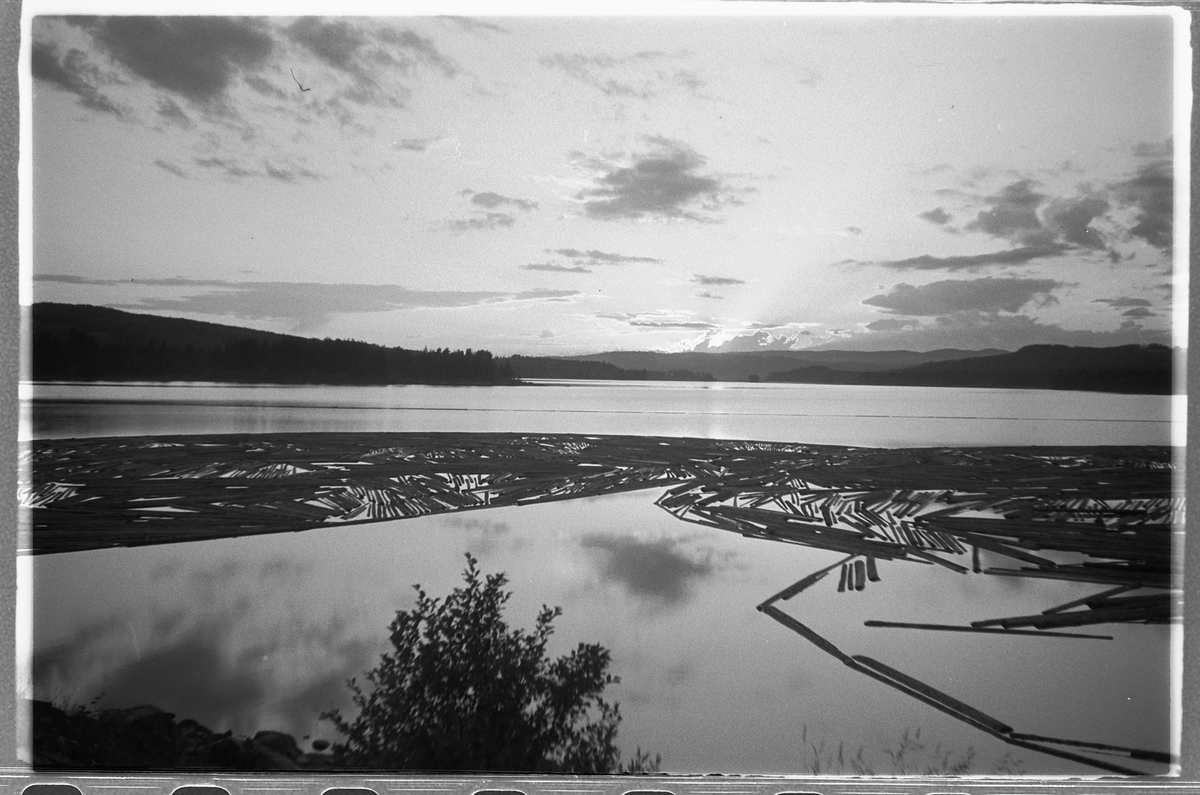 Håkon Prestkværn, Solnedgang over innsjø med fløtetømmer. tømmerlense, ukjent sted.