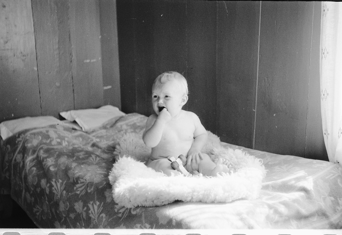 Håkon Prestkværn, En baby på et skinnfell.