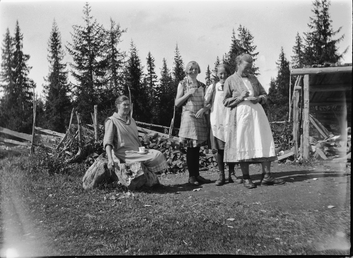 Ole M Martinsen, Fire kvinner drikker kaffe ved en vedhaug og skigard.