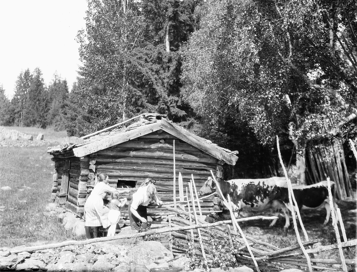 Ragnvald Andersen, Ukjent kvinne, to jenter og en mann ved ei tømmerhytte. To kyr.
