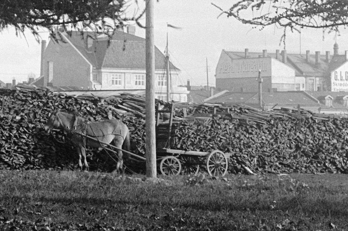 Hans Emil Erichsen, Høiensalodden i Hamar. Vedlager. Kostved som kom med Mjsøbåter fra Totenvika. Hest og kjerre. Utsnitt.