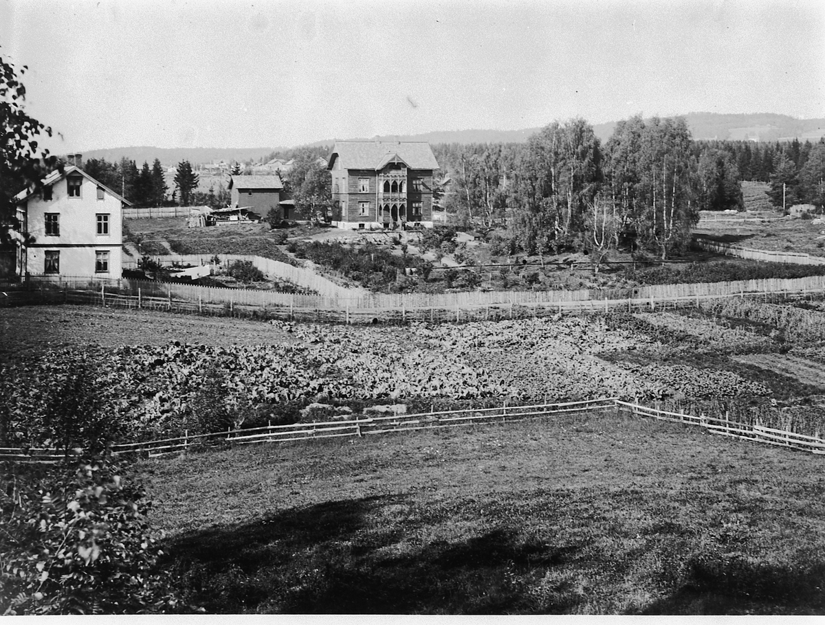 Hans Emil Erichsen, Sangen. Hakabekkvegen i Hamar. I forgrunnen er Mathias Røhnes gartneri, senere Hugo Hoffsten.