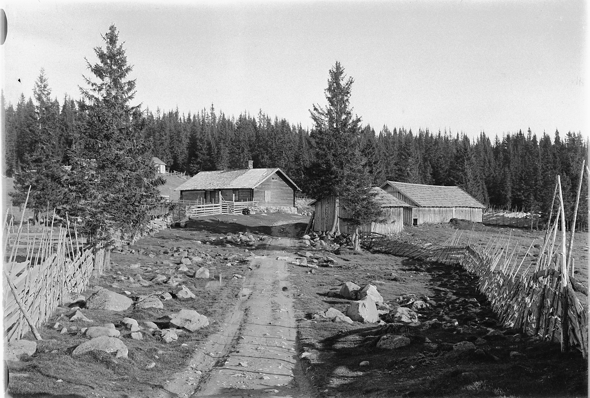 Simen Baardseth, Blekasætra, Nes allmenning, Ringsaker. Seterhus, skigard, gjerde.