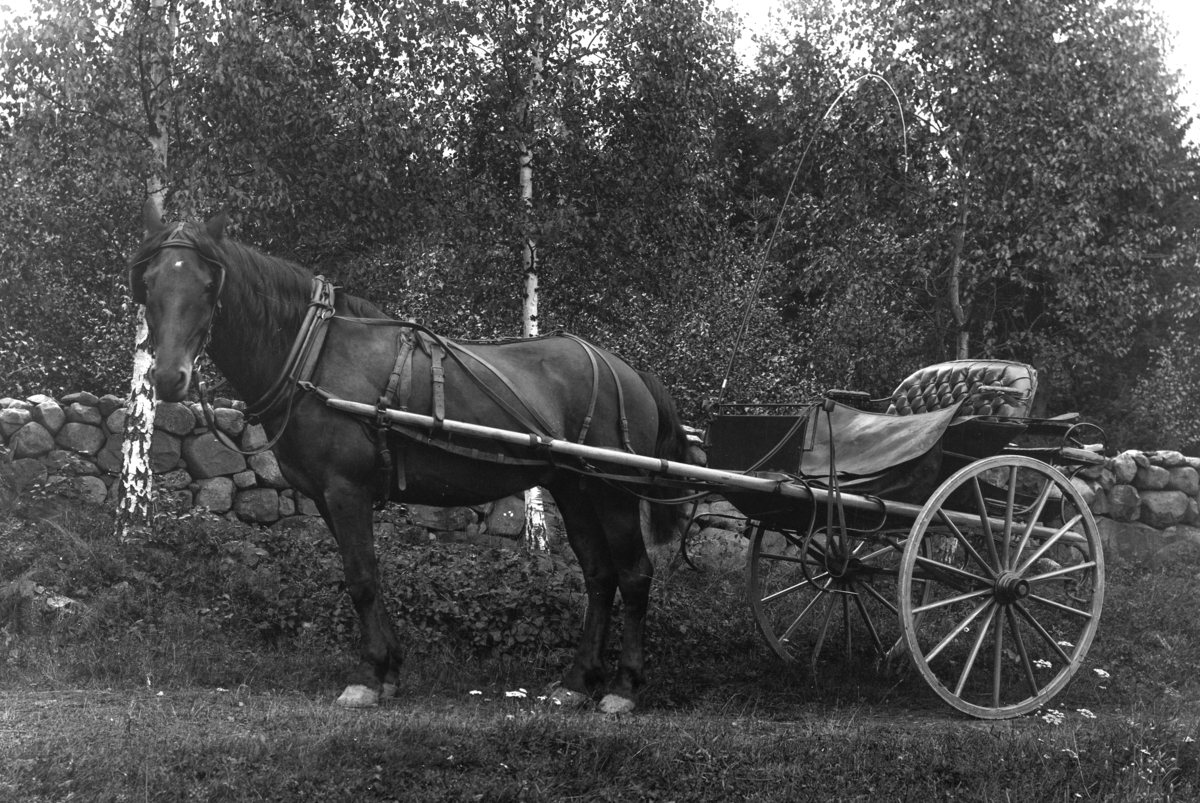 Ole Hansen Løken, HEST OG KARJOL, HESTEKJØRETØY, SELETØY.