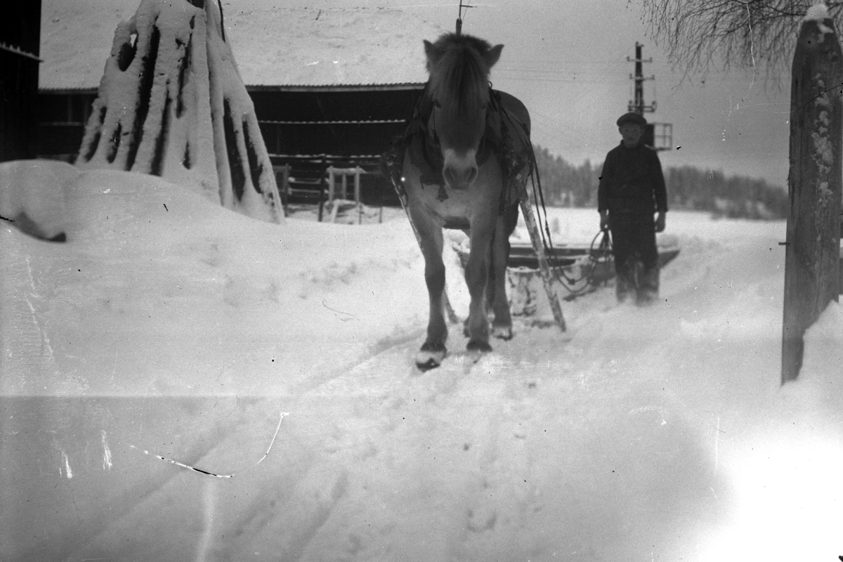 Mikkel Sveinhaug, Gutt med hest og slede. Fjording.