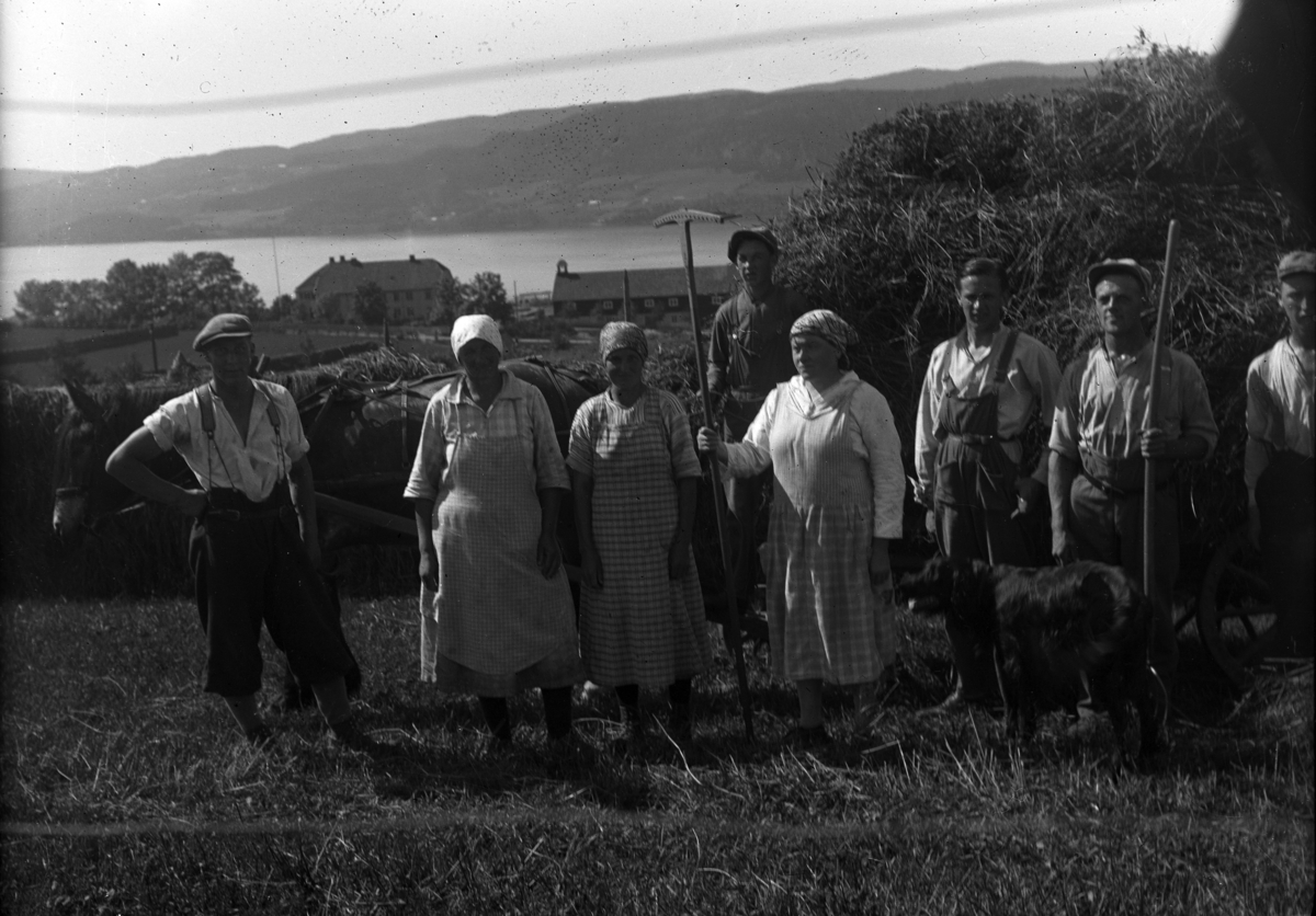 Mikkel Sveinhaug, Ukjent gruppe under høyonna, slåttonna på Søndre Vea gård (Vea Hagebruksskole) Hest og kjerre, redskaper. Nr 2 f. h. er Lars Haug. Bildet viser hovedveien like inntil tunet. Bildet viser også en bygning med gavl mot fotograf til venstre. Bare søndre Vea hadde to store bygninger i
