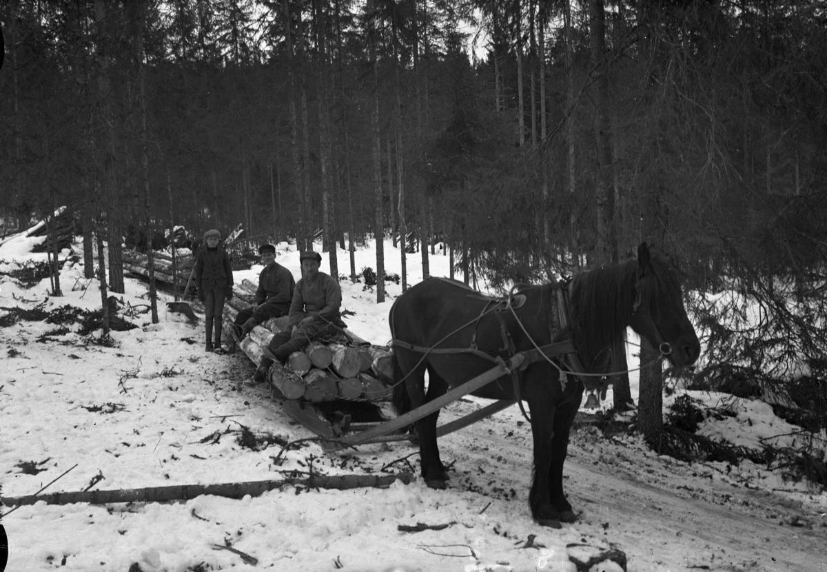 Mikkel Sveinhaug, TØMMERKJØRING I FOSSMARKA MED BUKK OG GEIT, lunning, CA. 1900. HEST OG UKJENTE TØMMERKJØRERE. FREMST PÅ LASSET BERNT KJELSMOEN.