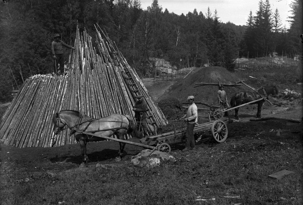 Mikkel Sveinhaug, TREKULLMILE, MOELVEN BRUG, HESTER, VOGNER, UKJENTE MENN.