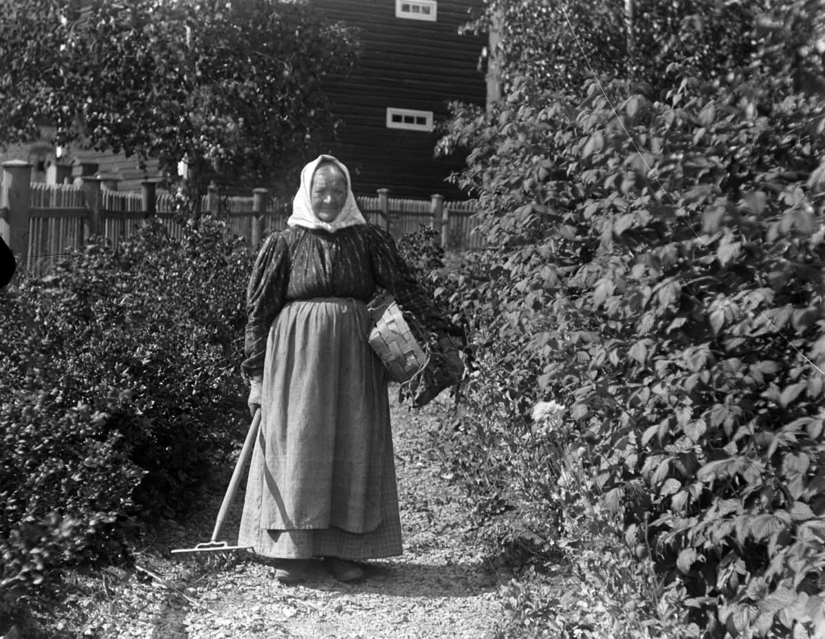 Martin Finborud, Eldre kvinne med kurv og rive i en hage.