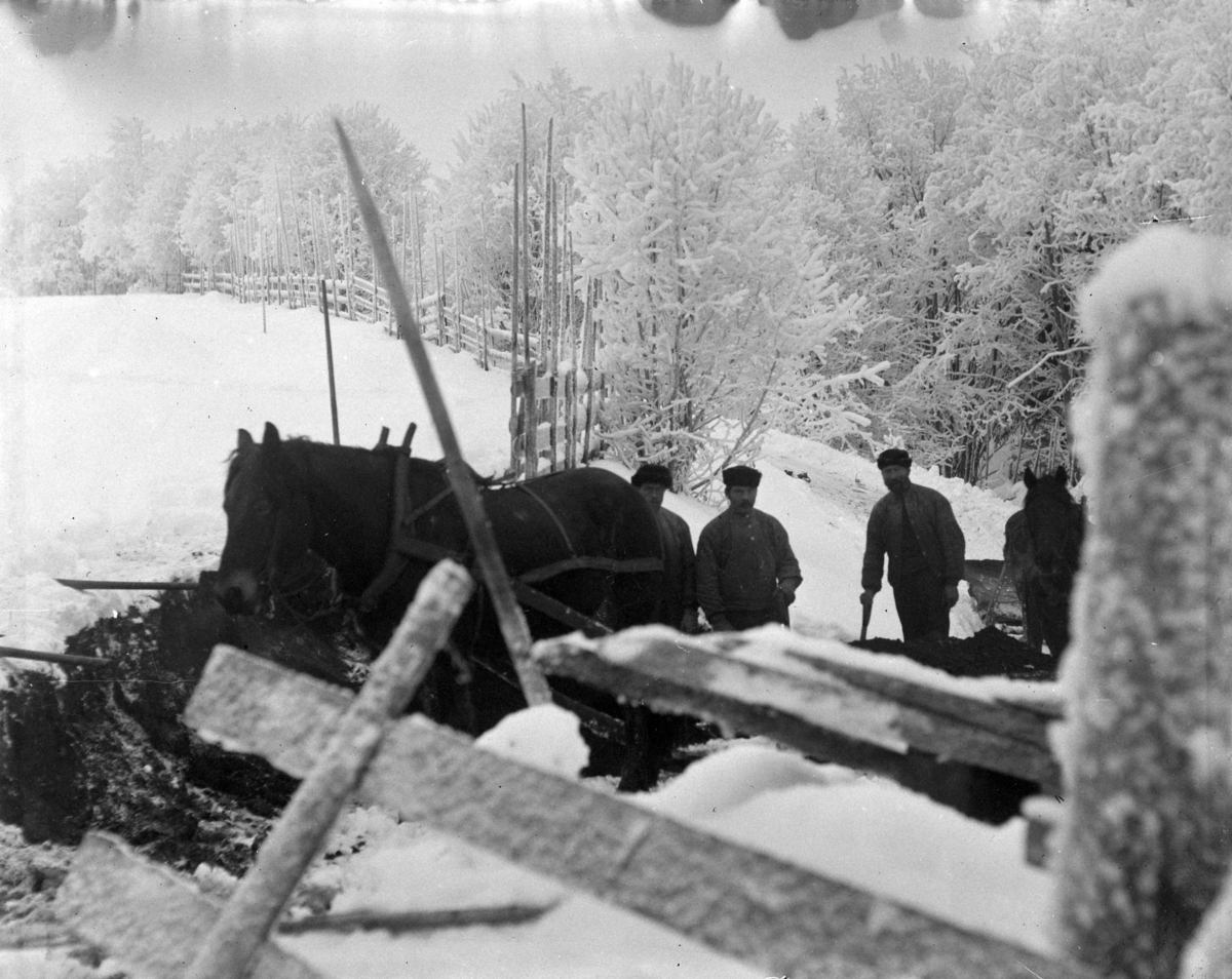 Martin Finborud, To hester med sleder, og tre menn, ved en skigard.