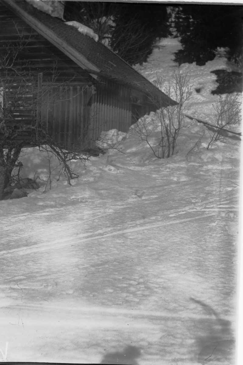 Hans Emil Erichsen, Vårbilde av stuen på Aasjordet i mars 1915.