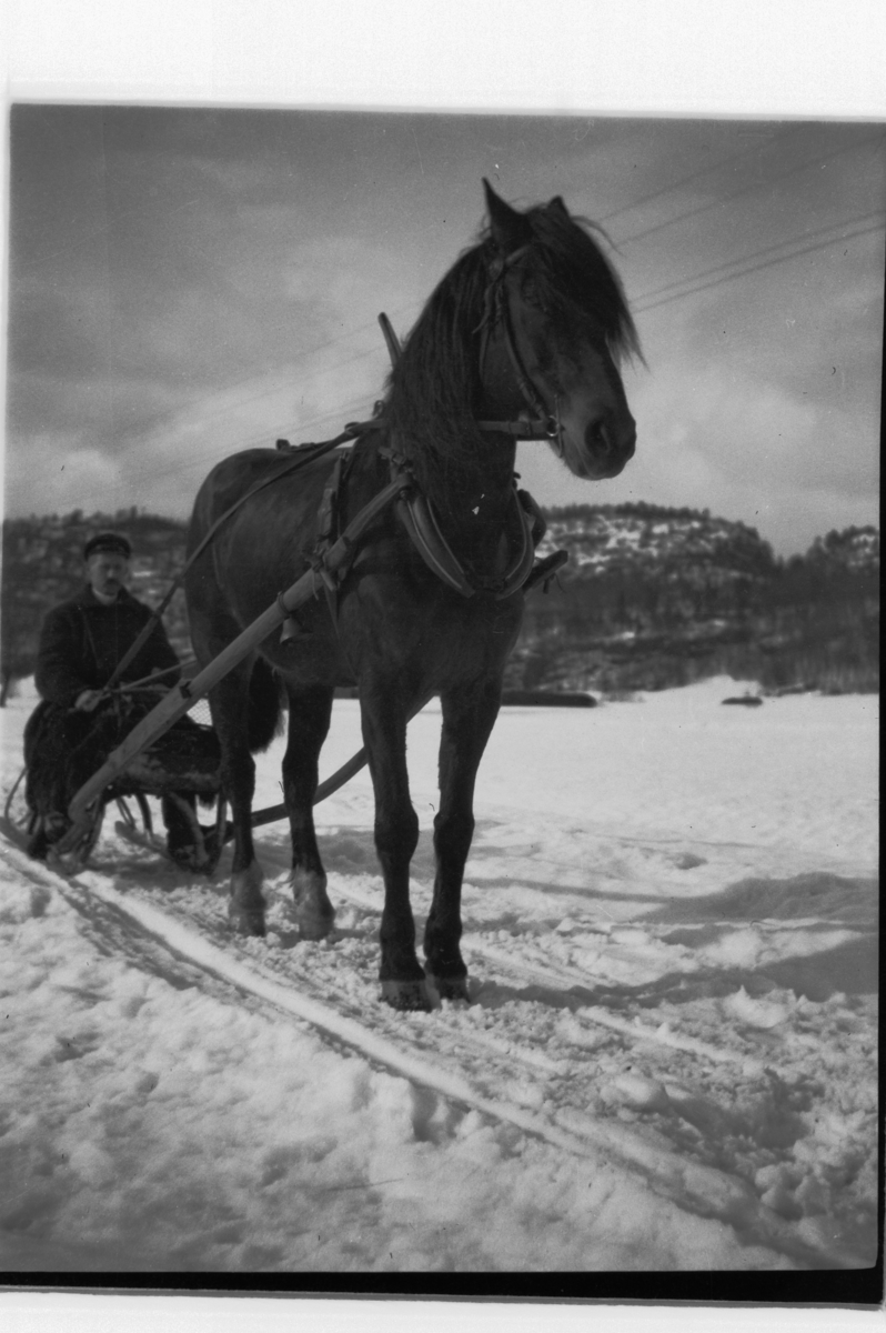 Hans Emil Erichsen, Ukjent mann med hest og slede.