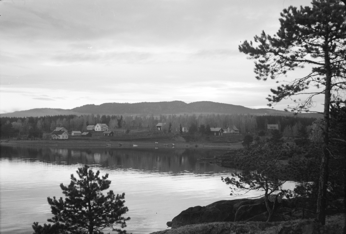 Håkon Prestkværn, Brennerivika i Moelv. Mjøsa.