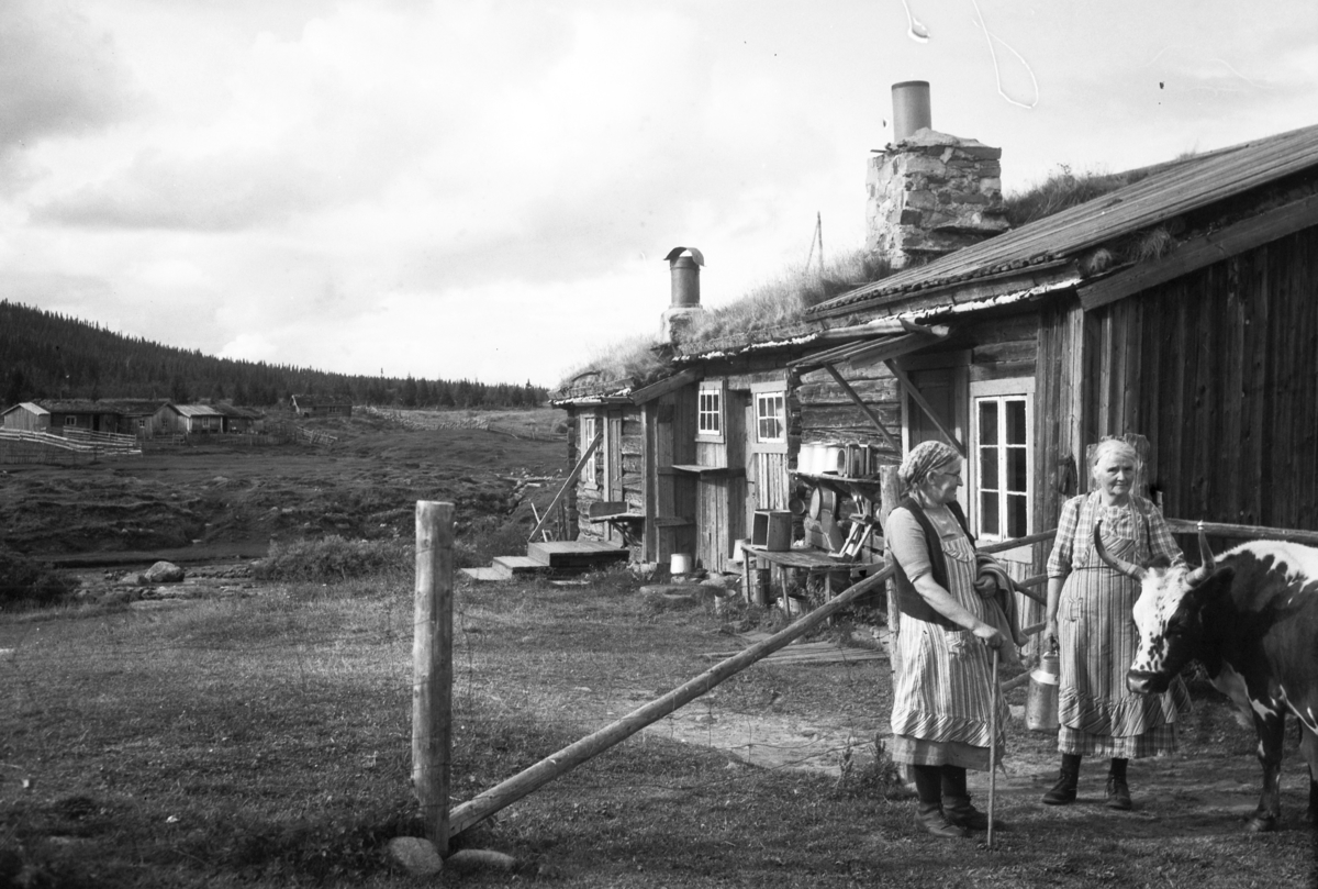 Håkon Prestkværn, Seter i Østerdalen 1938, ukjent sted. Budeier, seterhus