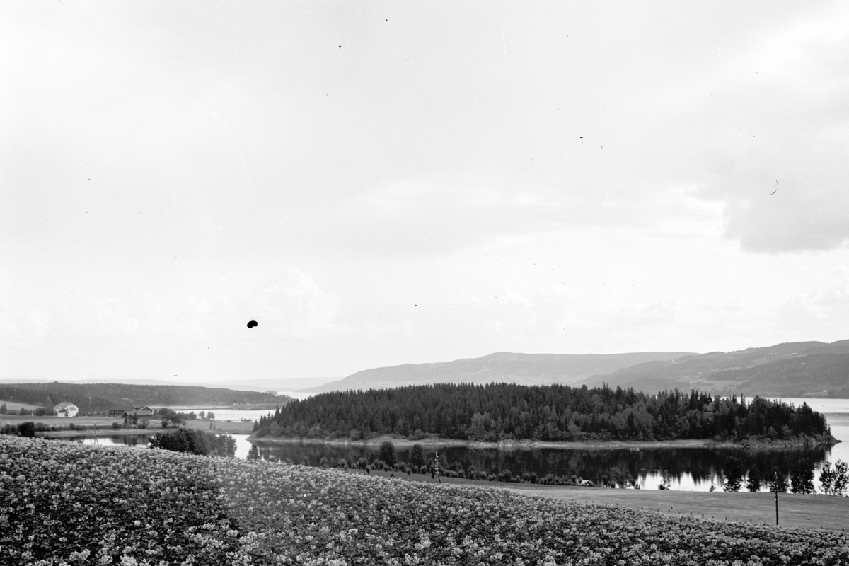 Håkon Prestkværn, Landskap ved Mjøsa. Utsikt fra Ring mot Vessvika og Vea nedre.