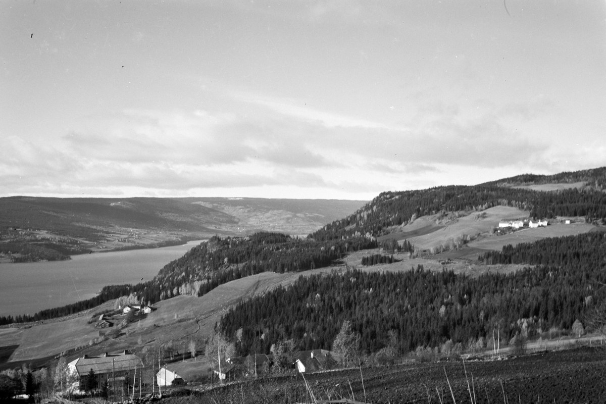 Håkon Prestkværn, Landskap, Ring, Ringsaker.